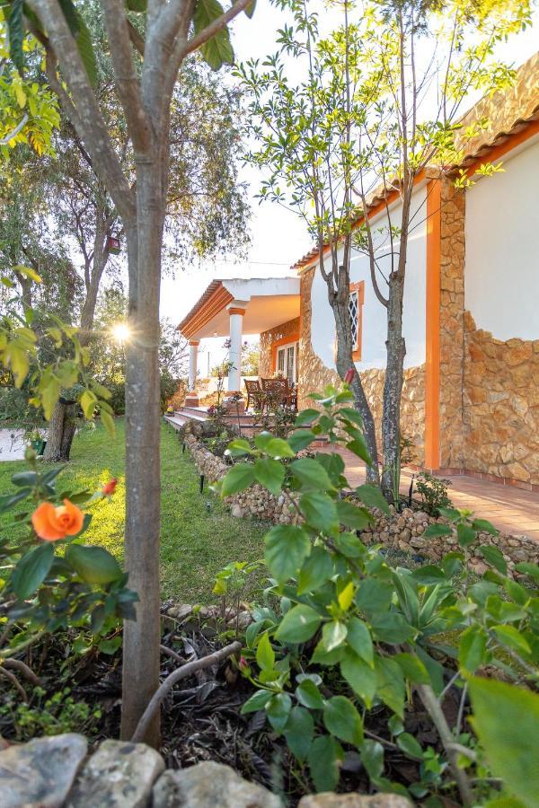 V4 Maximo Villa